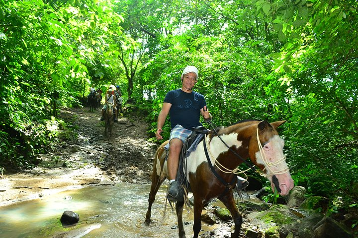 Horses at the Tropical Dry Forest